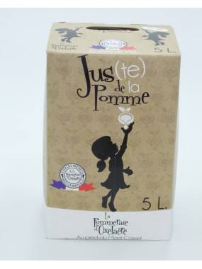 Cubi de jus de pomme