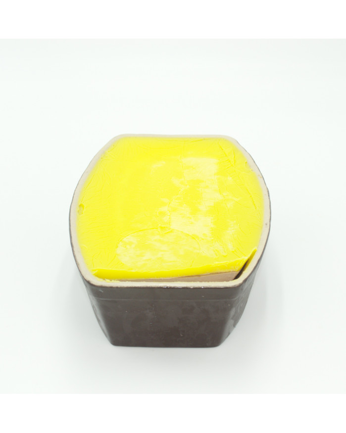 Mousse de foie de canard