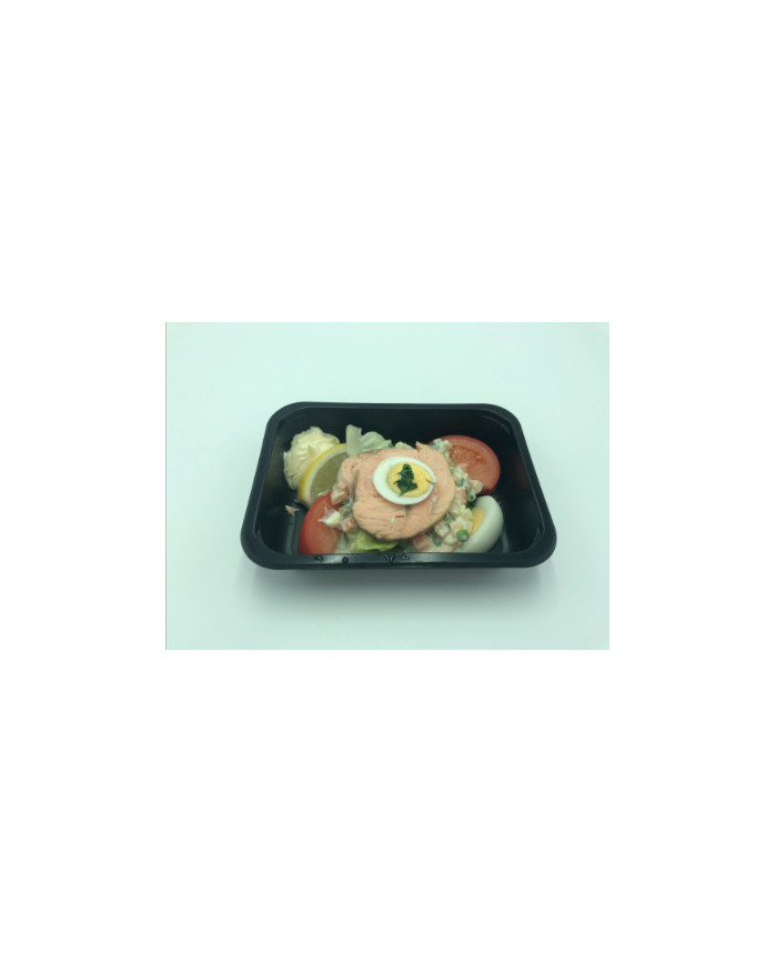 Assiette de médaillon de saumon / macédoine 